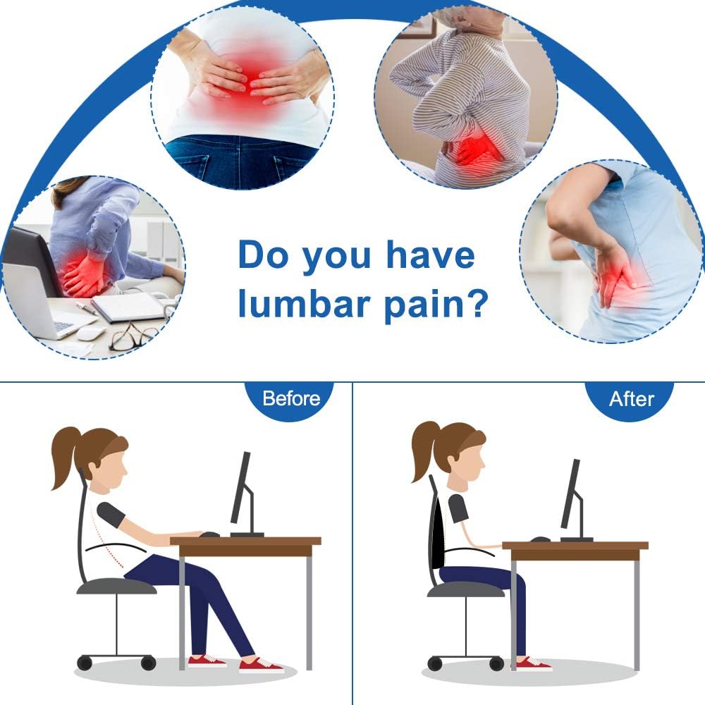 Villsure Lumbar Support Pillow, Memory Foam Back Cushion Pillow for Office Chair,Computer/Car Seat and Wheelchair with Breathable 3D Mesh,Ergonomic Orthopedic Backrest for Back Pain Relief: Home & Kitchen