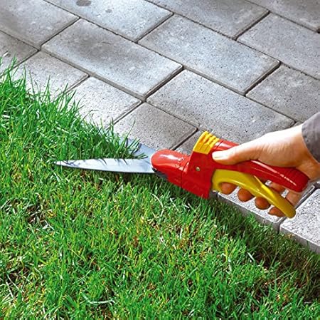 Best manual grass shears Clearance