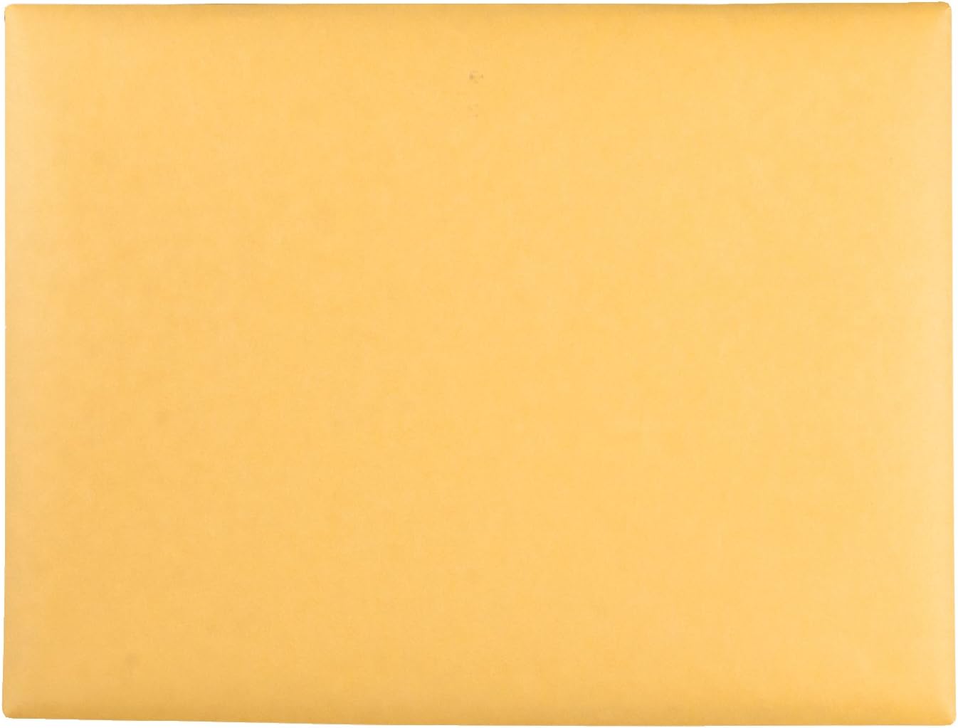 Quality Park Clasp Envelopes (QUA38090) : Quality Park Redi File Clasp Envelope : Office Products