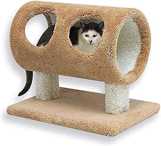 kitten house