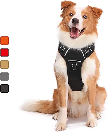 amazon dog harness with handle