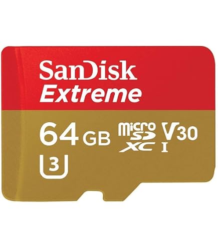SanDisk SDSDQQ-064G-G46A Scheda MicroSD 64GB High Endurance Con Adattatore SD – Per Videosorveglianza E Dashcam