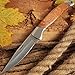 Folding Knife - Classic Pocket EDC and Outdoor Folding Knife - Grand Way FB 0924 A