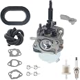 Vergaser Für Ryobi RY802900 Hochdruckreiniger – Inkl. Filter, Dichtungen & Zündkerze. Passgenaues Ersatzteil.