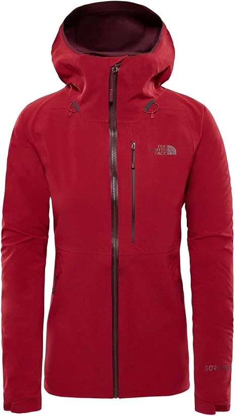 the north face apex flex gtx 2.0 red