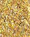 Chunky Cosmetic Holographic Glitter I Body, Face & Hair Safe I 16 Pack + 1 Glitter Primer (Blue)