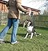 PET CORRECTOR Dog Trainer, 50ml. 4 Pack- Stops Barking, Jumping Up, Place Avoidance, Food Stealing, Dog Fights & Attacks. Help stop unwanted dog behaviour. Easy to use, safe, humane and effective.