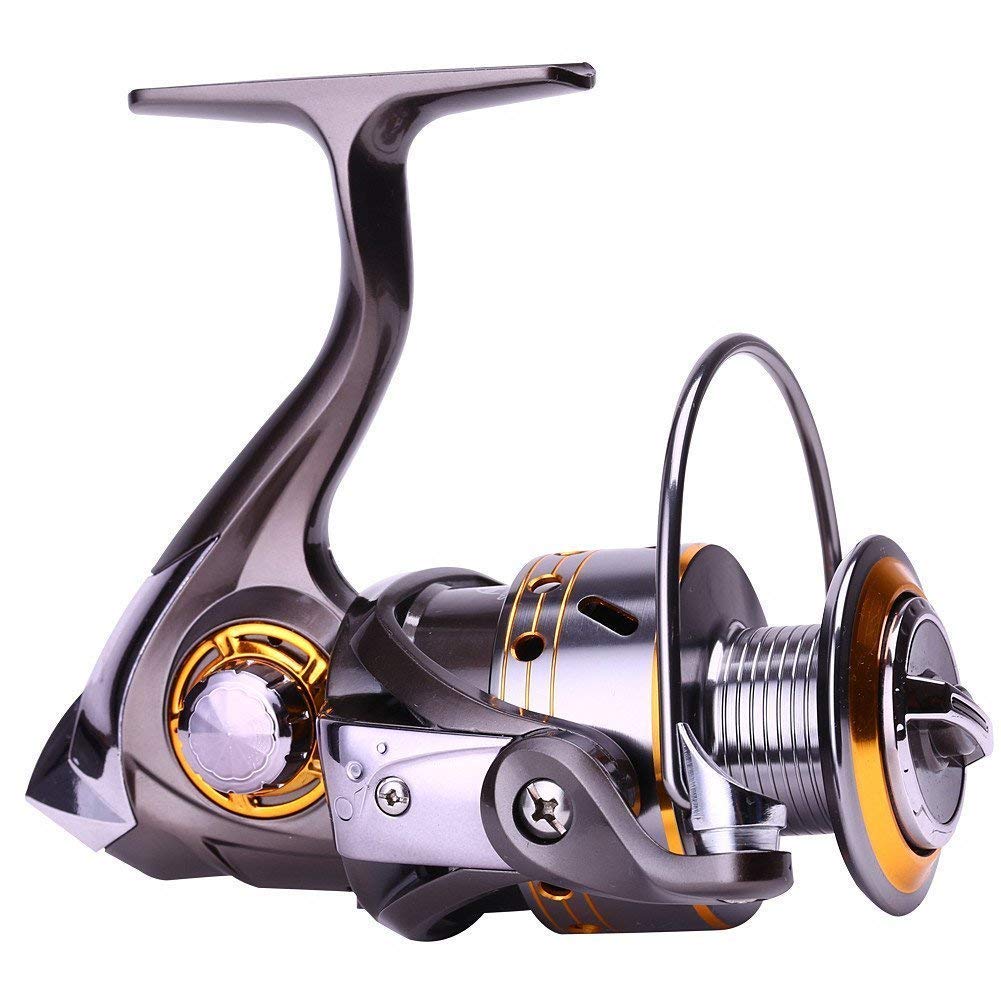 Sougayilang Fishing Reel review