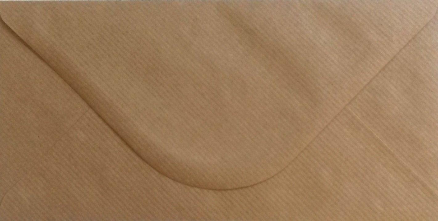 100 Pack DL Ribbed Kraft Envelopes - 110mm x 220mm - Gummed 100gsm – Eco-Friendly Natural Brown