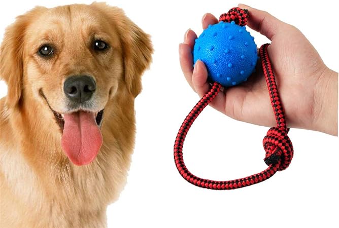 amazon juguetes para perros