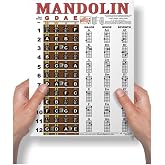 Mandolin Chord Chart Fretboard Notes Note Map Poster 8.5x11 | Learn mandolin faster with 21 major minor &amp; 7th chords fretboard notes lessons music teachers classrooms home practice