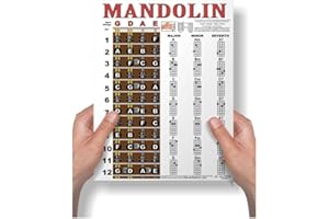 A New Song Music Laminated Mandolin Easy Chord Chart & Fretboard Notes Chart Poster 8.5"x11" for Notebook