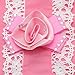 Binmer(TM)Pet Dog Clothes Puppy Flower Skirts Dress Crystal Bowknot Lace Floral Pet Princess Clothes (XL)