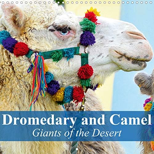 Dromedary and Camel - Giants of the Desert 2020: Frugal giants in the desert sand (Calvendo Animals)