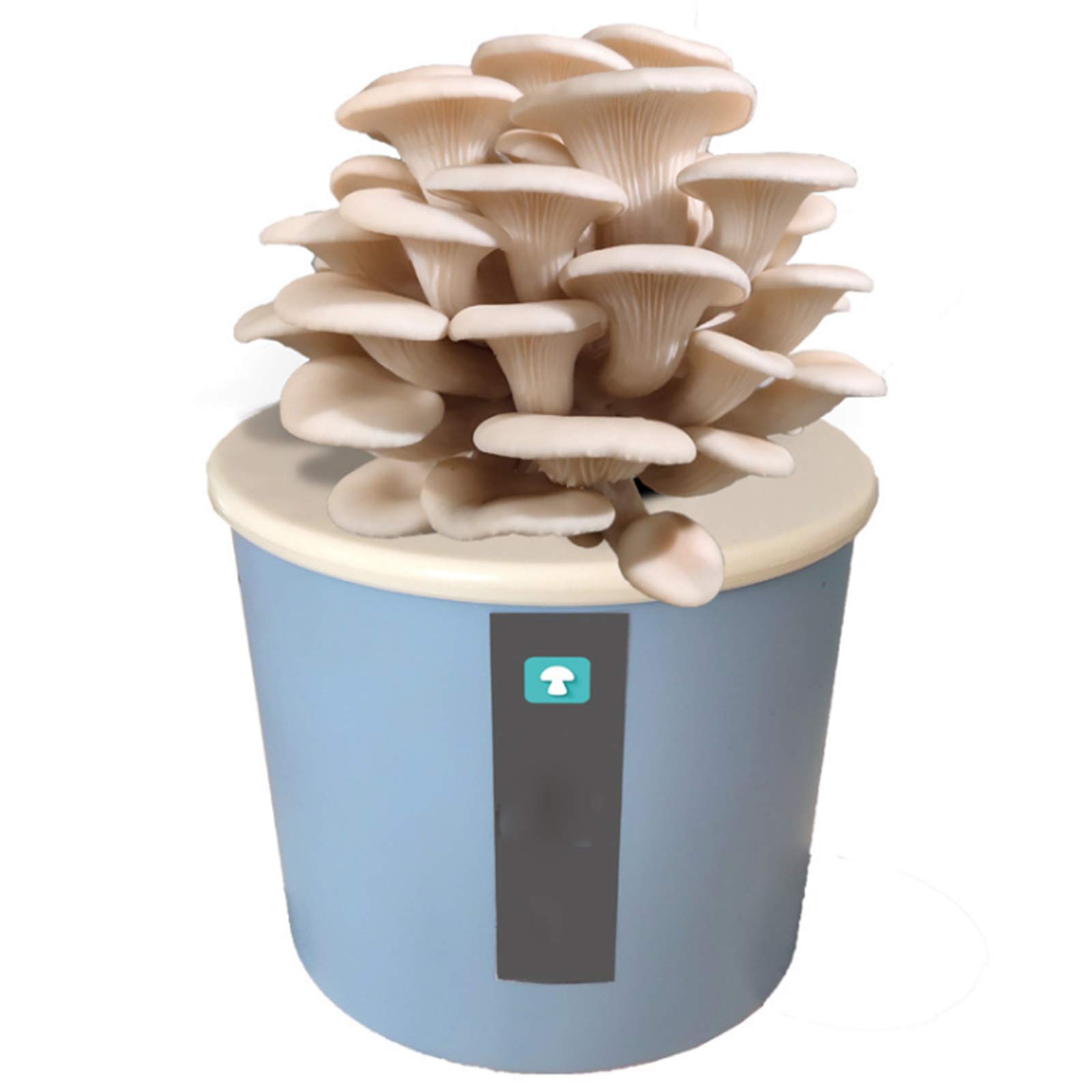 DBXOKK Gardeners Kit, Oyster Mushrooms Growing Kit Indoor for Kids and Beginners, Complete Kit to Gr