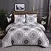 LyTble Duvet Cover Queen Size 100% Microfiber Bedding Sets Queen with Zipper Closure,Bohemian Decor Lightweight and Ultra Soft(Bohemian Black, Queen)