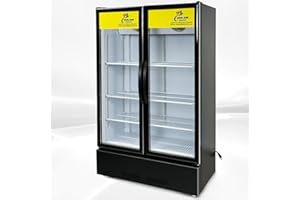COOLER DEPOT Commercial Refrigerator Glass 2-Door Merchandiser Display Cooler, Beverage Drink Cooler 67"Height Low Profile,ETL NSF Certified, 38 inches width, 16.5 cuft 110V, Restaurant LC-600