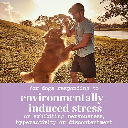 EverRoot Dog Supplements For Dog Stress And Anxiety Relief By Purina