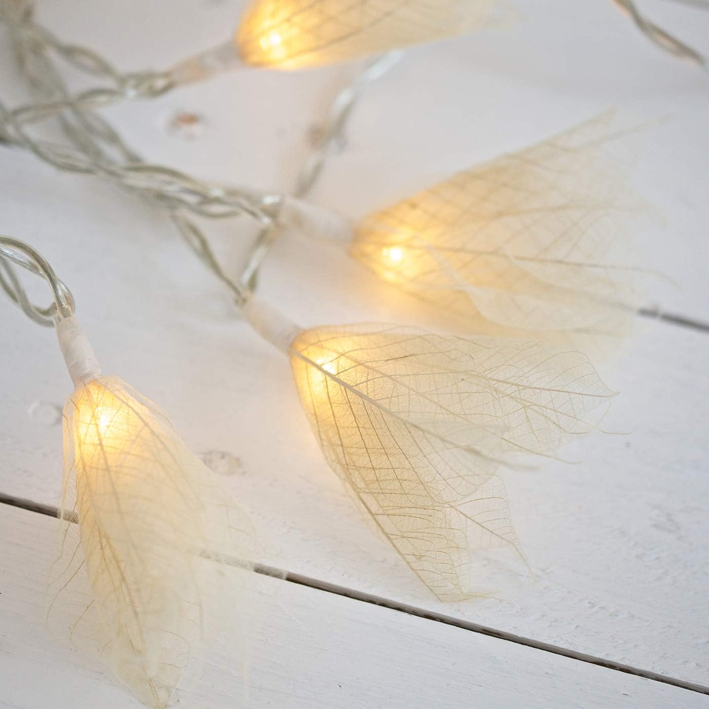 Blaze On Natural Leaf Fairy Lights (Cream Coloured), 20 Warm White LED Lights, Handcrafted from Real Rubber Tree Leaves - Image 3