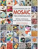 Compendium of Mosaic Techniques: Over 300 Tips, Techniques and Trade Secrets by Bonnie Fitzgerald (2012-08-02) by Bonnie Fitzgerald