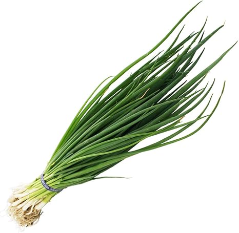 Amazon ねぎ苗 九条ネギ 九条太 50本 抜き苗 岡山県産 野菜