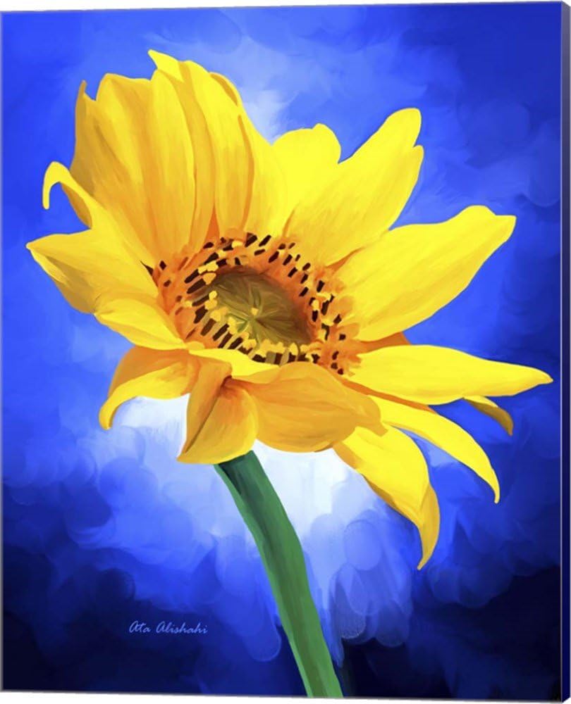 Sun Flower by Ata Alishahi Canvas Art Wall Picture, Museum Wrapped with Navy Blue Sides, 16 x 20 inches