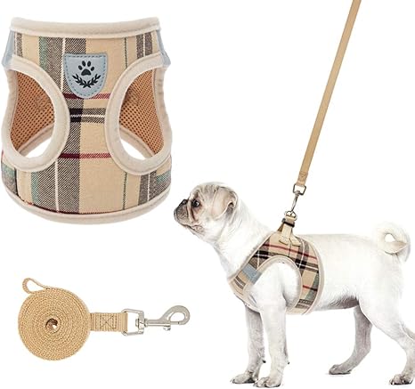 burberry dog harness vest