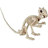 Crazy Bonez Skeleton Squirrel – 7