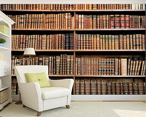 BZDHWWH Papel De Parede 3D Modern Home Decor Wallpaper Classical Bookcase Art 3D Living Room Tv Wall Wallpaper For Walls 3 D,160Cm (H) X 240Cm (W)