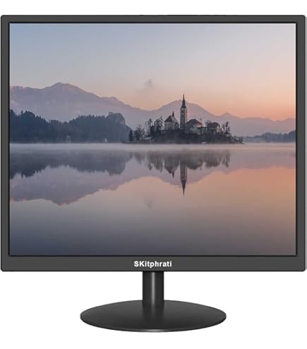Amazon.com: Dell SE198WFP 19-inch Flat Panel LCD Monitor (Renewed