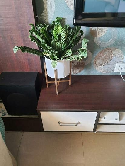 Yogesh Handicraft Mid Century Metal Plant Pot Set | Indoor Round Planter with Metal Stand (Pot: Gold, Stand: Black, All Three Sizes) (Pot- White ,Stand -Gold)