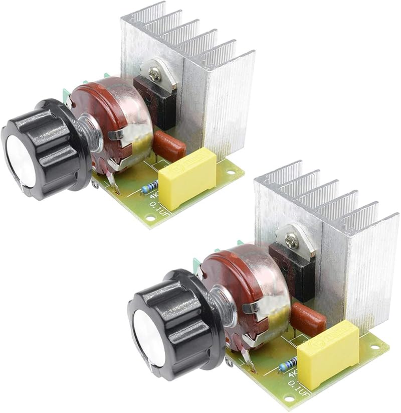 Hailege 2pcs 3800W SCR Voltage Regulator Dimmer AC 220V Speed Temperature