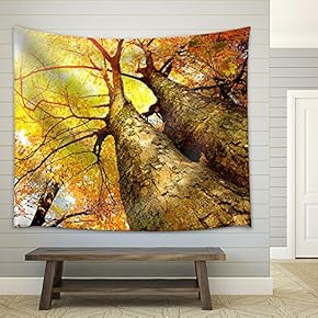 Autumn Trees Fall - Fabric Wall Tapestry Home Decor - 51x60 inches