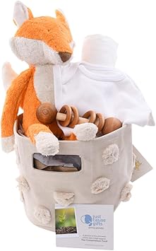 fox themed baby stuff