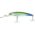 Leurre géant Rapala 29 - Tackle Depot
