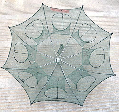 wonsung8 Hole Fishing Net Folded Portable Hexagon Fish Network Casting Nets Crayfish Shrimp Catcher Tank Trap China Cages Mesh Cheap