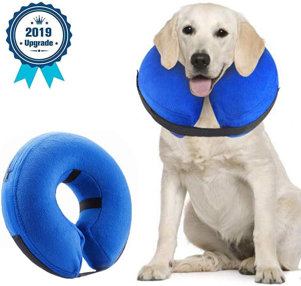 Supet Halskrause Hund Schützender Aufblasbarer Hundekragen Schutzkragen ...
