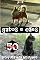 Livro gatos e cães (50 imagens)