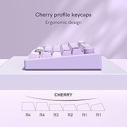 Violet PBT keycaps,Purple Double Shot Keyboard Key