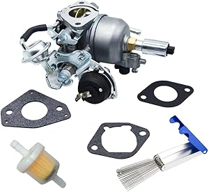 Carbpro 541-0765 141-0983 Carburetor for Marquis HGJ Series Onan RV Generator ( for Onan 5500 Grand Marquis Gold Generator HGJAB-901D)