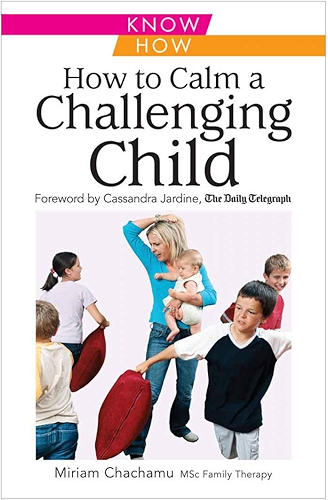Download How to Calm a Challenging Child (English Edition) PDF