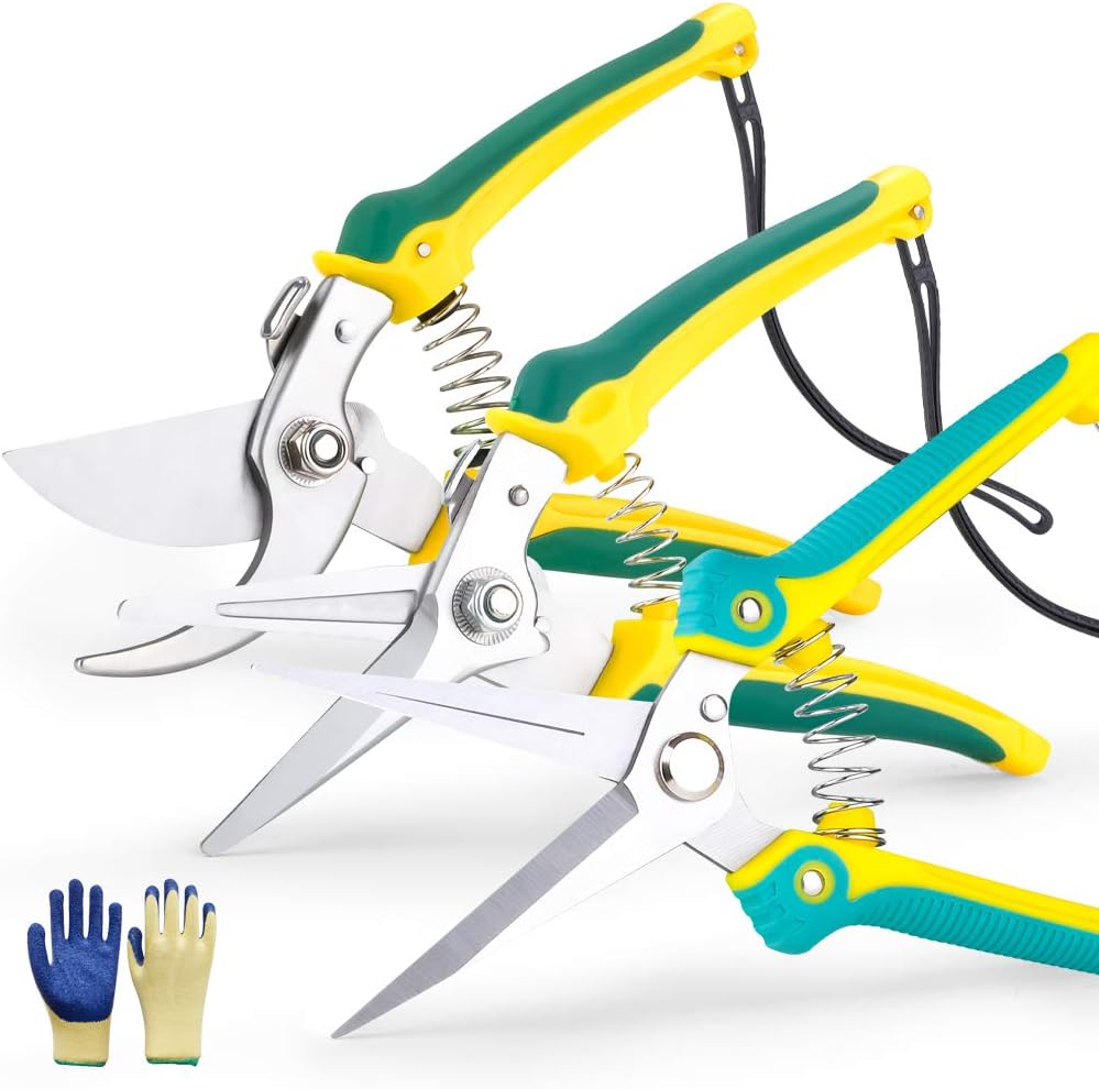 Scissors 3 Pack, Garden Pruning Shears Garden Shears - Straight Stainless Steel Blades - Sharp Gardening Hand Pruner for Garden Harvesting Fruits, Vegetables, Trimming Flowers Plants (Light Green)