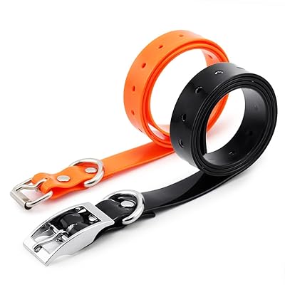 outdoor cat climbing tree