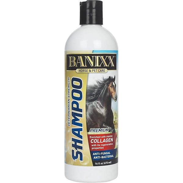 banixx shampoo for dogs