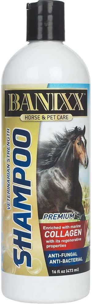 banixx shampoo for dogs