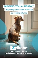 Zylkene Calming Supplements Cats & Dogs 75mg 20 Capsules view 4