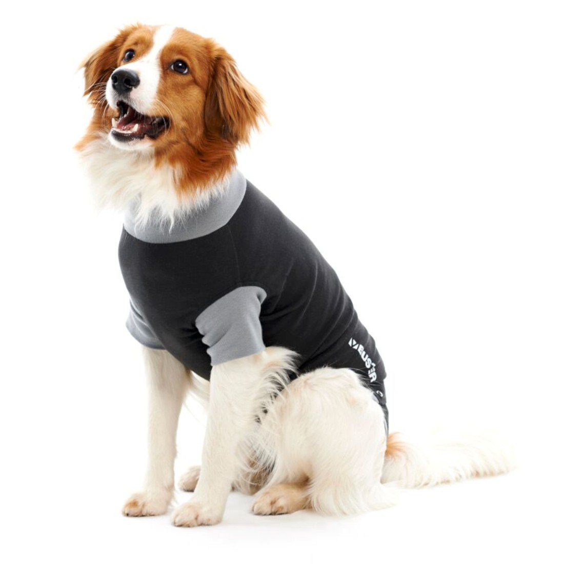 Buster Body Suit Easygo for Dogs, 29 in , 2X-Large