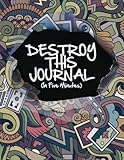 Destroy This Journal (In Five Minute)
