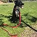 Dog Leash for Medium, Large and Small Dogs - 6 Foot Dog Leashes for Training and Daily Walks - Durable Sizes in Lightweight and Heavy Duty for Small and Large Breeds (2-Layer Reflective, Red)