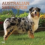 2019 Australian Shepherds Wall Calendar, Australian Shepherd by BrownTrout